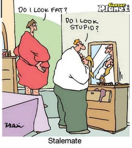 Do I look fat