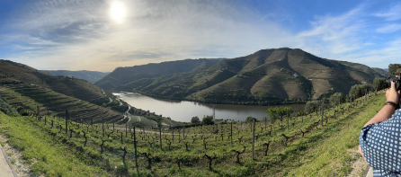 Timms in Portugal