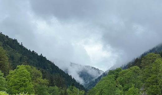 image11