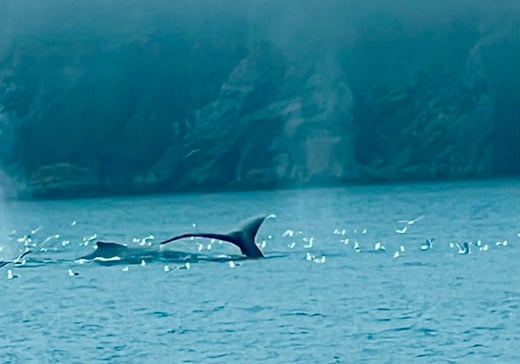 image2-1